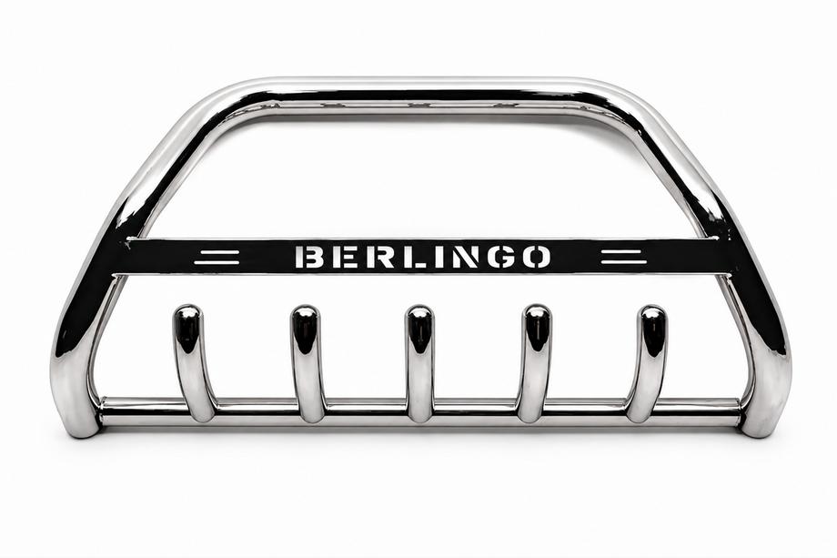 Citroen Berlingo 2008-2018 Bull Bar WT004 (Stainless Steel) 51 mm Photo 2