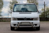 Mercedes Vito W638 1996-2003 Bull Bar WT022 (Stainless Steel) photo 1