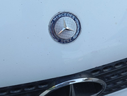 Mercedes Vito W639 2004-2014 Mercedes Hood Emblem (Mount) photo 2