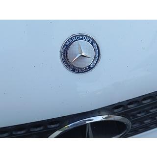 Mercedes Hood Emblem (Mount) Mercedes Vito W639 2004-2014 photo 2