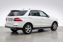 Mercedes GLE/ML class W166 2011-2018 Side Steps Duru (2 pcs, Aluminum) photo 1