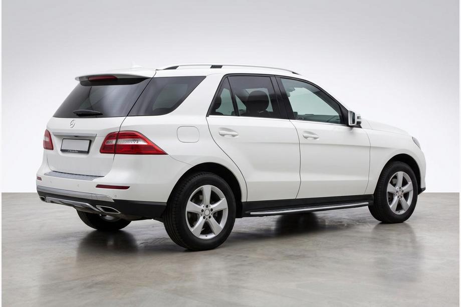 Mercedes GLE/ML class W166 2011-2018 Side Steps Duru (2 pcs, Aluminum) Image