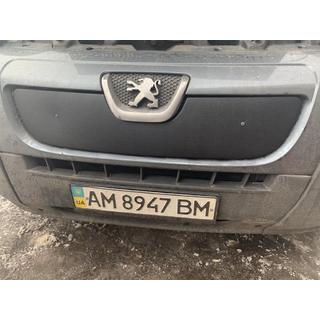 Winter grille (2006-2014) photo 2