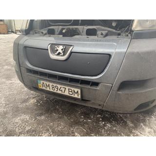 Winter grille (2006-2014) photo 3