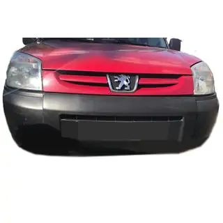 Winter grille (2003-2008)