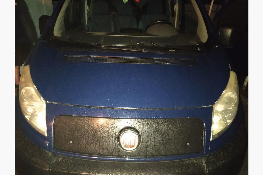 Fiat Scudo 2007-2015 Winter grille Image