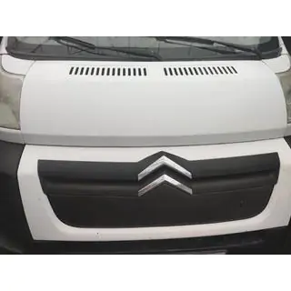 Winter grille (2006-2014)