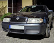 Skoda Octavia I Tour A4 1996-2010 Winter grille (upper) Matte photo 3