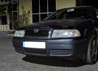 Skoda Octavia I Tour A4 1996-2010 Winter grille (upper) Matte photo 4