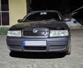 Skoda Octavia I Tour A4 1996-2010 Winter grille (upper) Matte photo 6