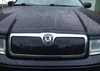 Skoda Octavia I Tour A4 1996-2010 Winter grille (upper) Matte photo 1