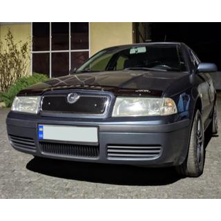 Winter grille (upper) Skoda Octavia I Tour A4 1996-2010 photo 3