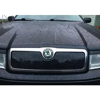 Winter grille (upper)