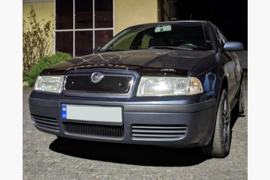 Skoda Octavia I Tour A4 1996-2010 Winter grille (upper) glossy Photo 3