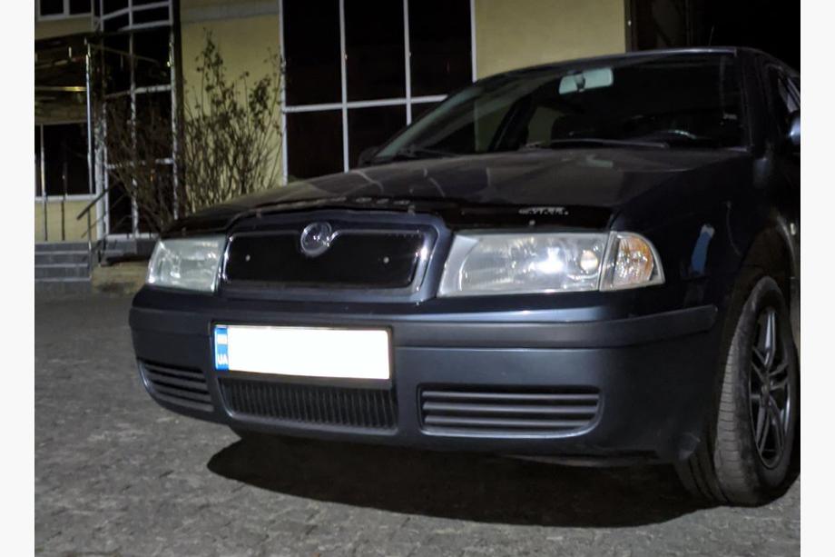 Skoda Octavia I Tour A4 1996-2010 Winter grille (upper) glossy Photo 4