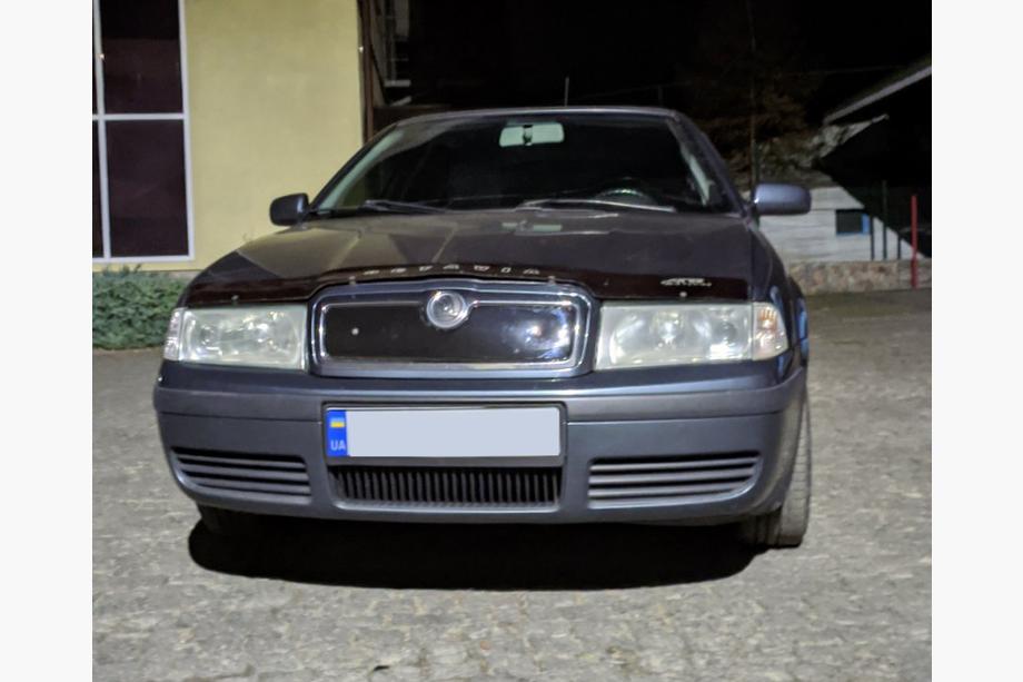 Skoda Octavia I Tour A4 1996-2010 Winter grille (upper) glossy Photo 6