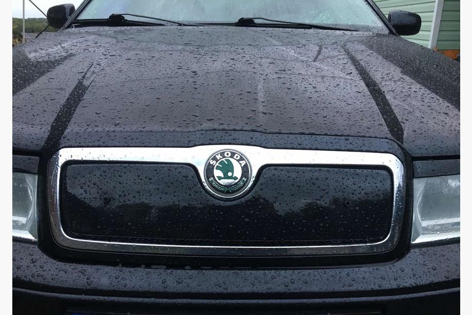 Skoda Octavia I Tour A4 1996-2010 Winter grille (upper) Matte Image