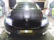 Skoda Rapid 2012-2019 Winter grille (upper) photo 1