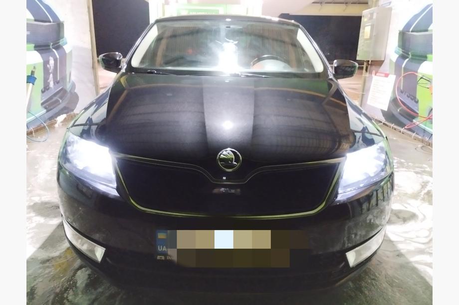 Skoda Rapid 2012-2019 Winter grille (upper) Glossy Image