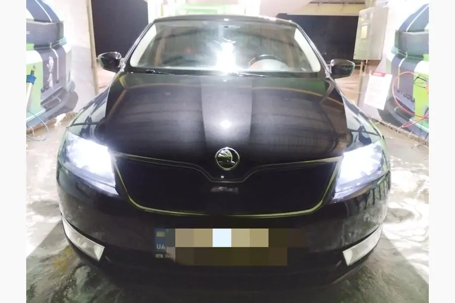 Skoda Rapid 2012-2019 Winter grille (upper) Image