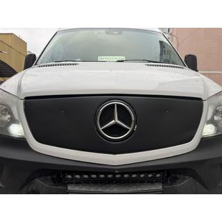 Winter grille cover V1 (2013↗) photo 4