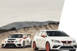Seat is going to produce charged electric cars photo 1