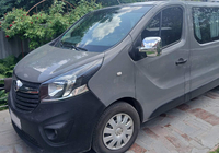 Opel Vivaro 2015-2019 Mirror Covers (2 pcs, plastic) photo 9
