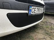 Renault Kangoo 2008–2020 Winter lower grille (2008-2013) Matte photo 2