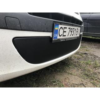 Winter lower grille (2008-2013) photo 2