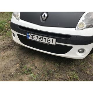 Winter lower grille (2008-2013) photo 3