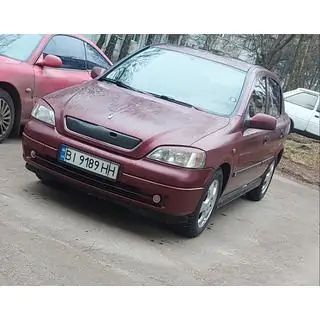 Winter grille