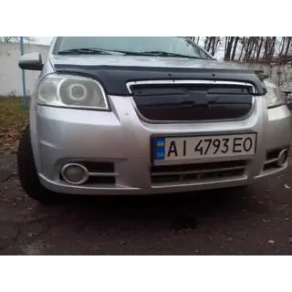 Winter grille photo 2
