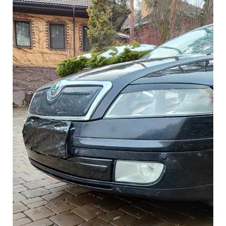 Winter cover for grille (lower) photo 2