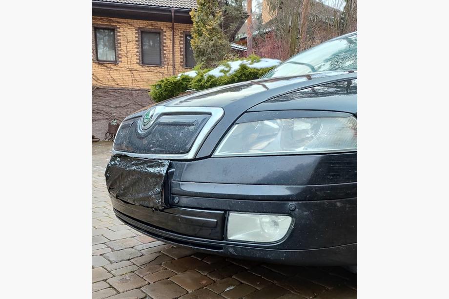 Skoda Octavia II A5 2006-2010 Winter cover for grille (lower) Photo 2