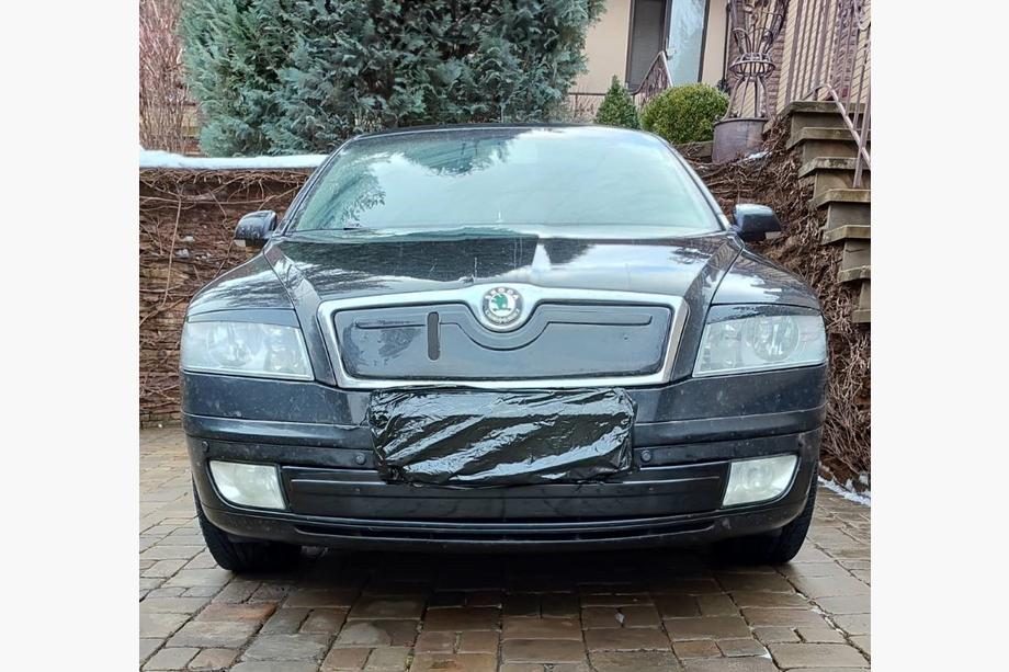 Skoda Octavia II A5 2006-2010 Winter cover for grille (lower) Glossy Image