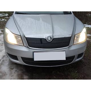 Winter grille cover (upper)