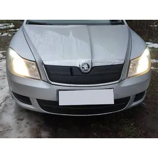 Winter grille cover (upper)