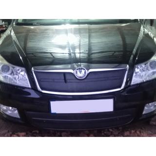 Winter grille cover (upper) photo 3