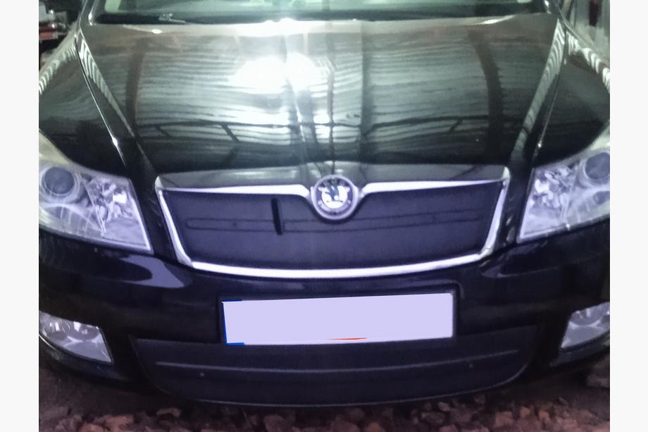 Skoda Octavia II A5 2010-2013 Winter grille cover (upper) Photo 3