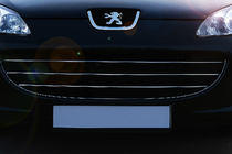 Peugeot 407 2004-2011 Chrome Grille Covers (3 pcs, Stainless Steel) photo 1