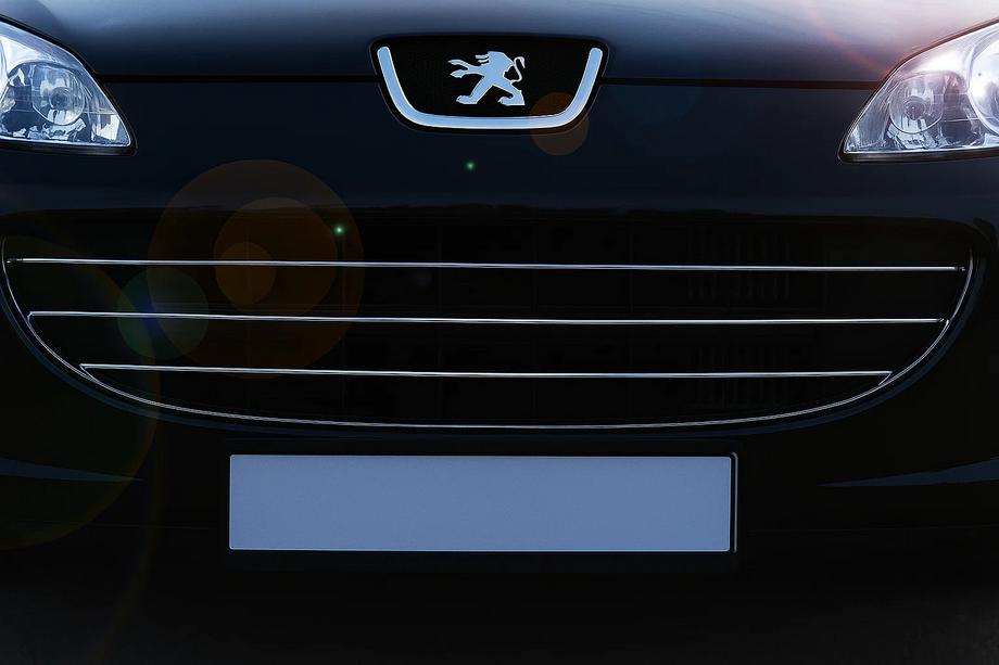 Peugeot 407 2004-2011 Chrome Grille Covers (3 pcs, Stainless Steel) Image