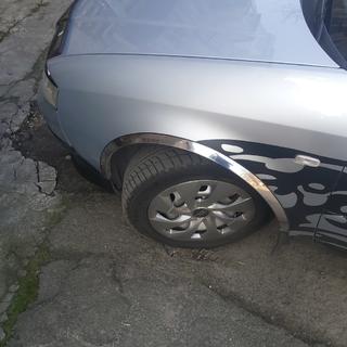 Fender flares (4 pcs, stainless steel)