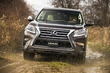 Overview of Lexus GX460 photo 1