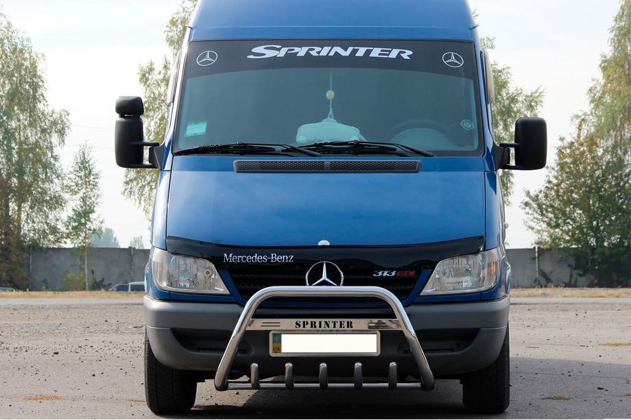 Mercedes Sprinter W901/902/903/904/905 1995–2006 Bull Bar WT004 (Stainless Steel) Image