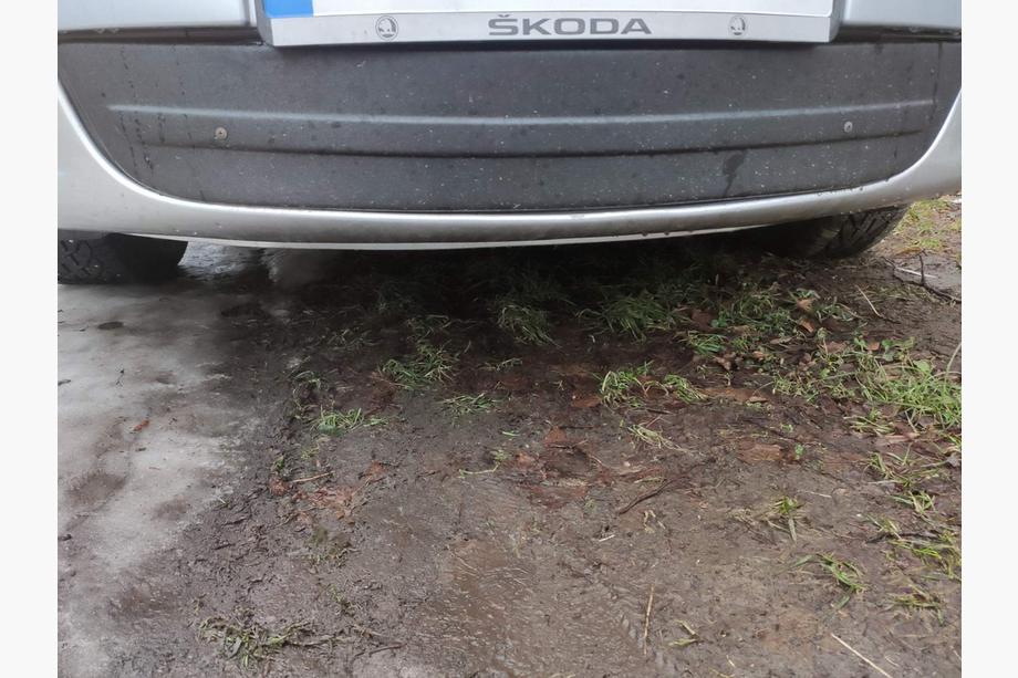 Skoda Octavia II A5 2010-2013 Winter cover for grille (lower) Image