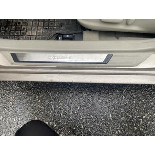 Door Sill Covers (4 pcs)