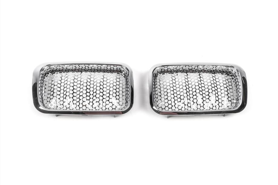 BMW 3 Series E36 1990-2000 Kidney Grilles Image