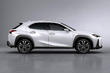 Review of the new compact crossover Lexus UX 200 photo 4