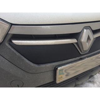 Winter grille (2013-2017) photo 3