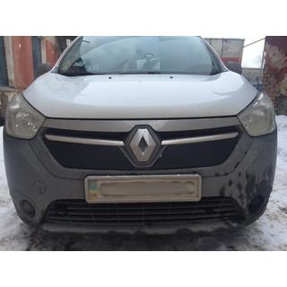 Winter grille matte (2013-2017) photo 3